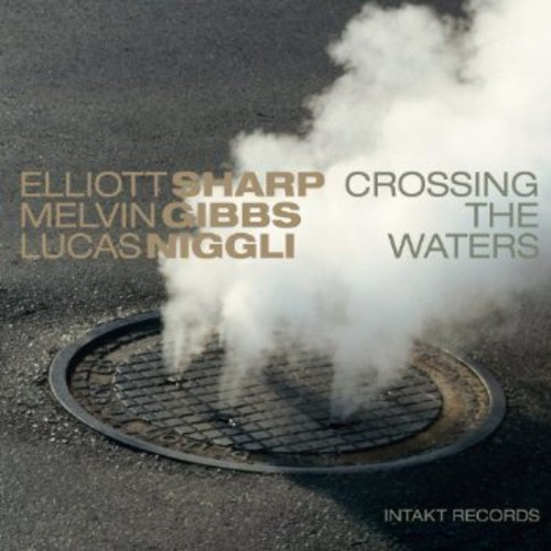 Elliott Sharp Melvin Gibbs Lucas - Crossing The Waters