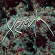Xenoula - Xenoula Xenoula - Xenoula