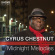 Chestnut Cyrus - Midnight Melodies Chestnut Cyrus - Midnight Melodies