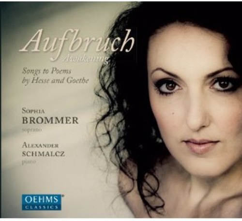 Brommer - Aufbruch