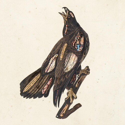 Clutch - Book Of Bad Decisions - Ltd.Picture