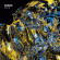Sasha - Fabric 99 Sasha - Fabric 99