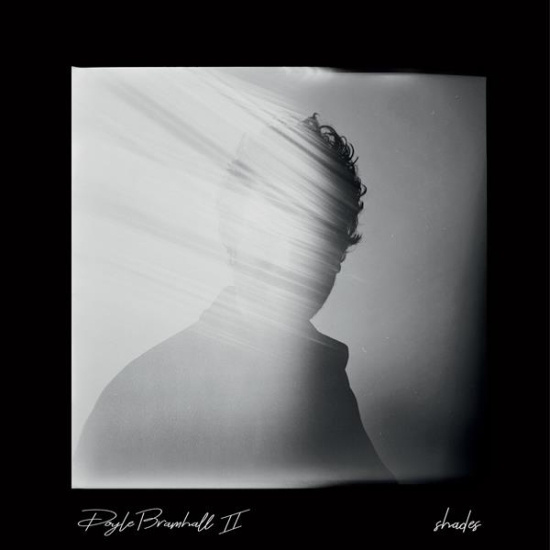 Doyle Bramhall Ii - Shades