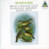 Natural Sound Recorded By Walter Ti - Bluethroat (Luscinia Svenica) - Bir Natural Sound Recorded By Walter Ti - Bluethroat (Luscinia Svenica) - Bir