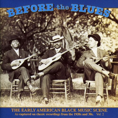 Various Artists - Before The Blues Vol.2
