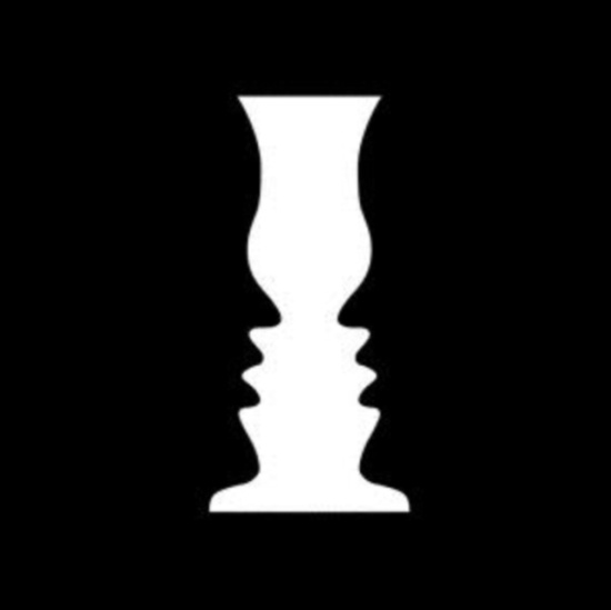 Sensory Illusions - The Sensory Illusions