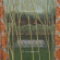 Catenary Wires - Til The Morning Catenary Wires - Til The Morning