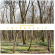 Catz'n Dogz - Friendship Catz'n Dogz - Friendship