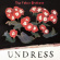 Felice Brothers - Undress Felice Brothers - Undress