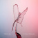 Various - Trachea (Blu-Ray Audio + Sacd) Various - Trachea (Blu-Ray Audio + Sacd)