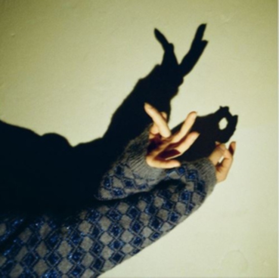 Elephant House - Chollima