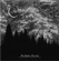 Ember The Ash - Consciousness Torn From The Void Ember The Ash - Consciousness Torn From The Void