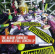 Guttermouth - Album Formerly Known As Full Guttermouth - Album Formerly Known As Full