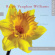 Various - Vaughan Williams: A Cappella Choral Various - Vaughan Williams: A Cappella Choral