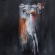 Insect Ark - Vanishing The Insect Ark - Vanishing The