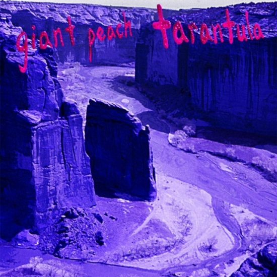 Giant Peach - Tarantula