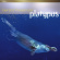 Gerard Presencer - Platypus Gerard Presencer - Platypus