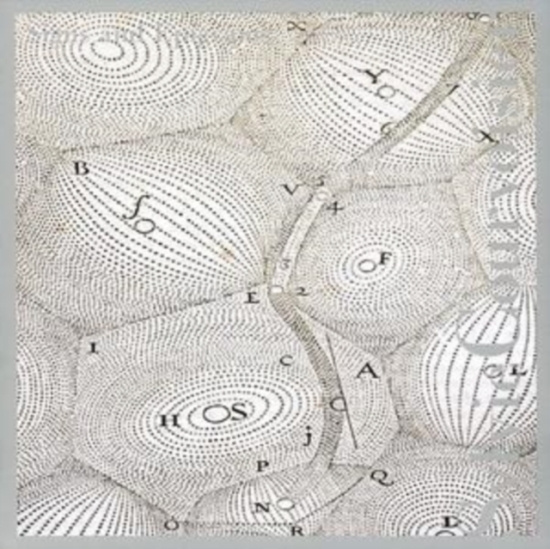 Sylvie Courvoisier - Signs And Epigrams