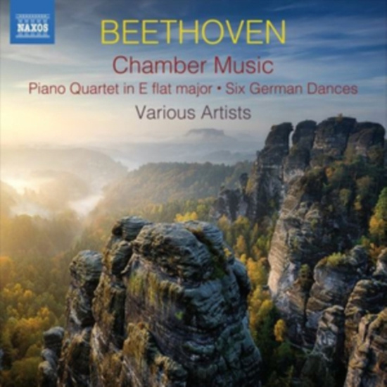 Beethoven Ludwig Van - Chamber Music (2Cd)