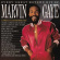 Marvin Gaye - Every Great Motown Hit (Vinyl) Marvin Gaye - Every Great Motown Hit (Vinyl)