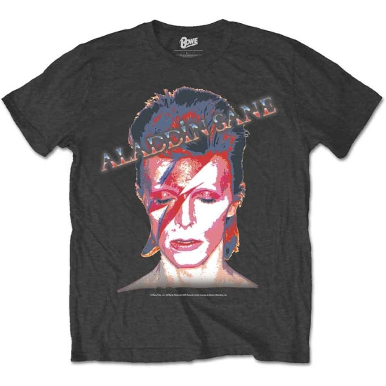 David Bowie - David Bowie Unisex Tee: Aladdin Sane
