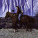Holy Motors - Horse Holy Motors - Horse