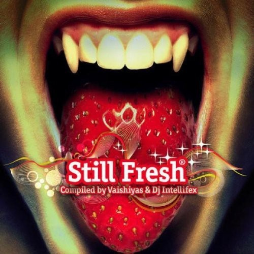 V/A - Still Fresh