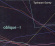 Sorey Tyshawn - Oblique 1 Sorey Tyshawn - Oblique 1