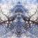 Astralasia - A Coloured In Dream Astralasia - A Coloured In Dream
