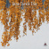 Torvik Arne (Trio) - Northwestern Songs Torvik Arne (Trio) - Northwestern Songs