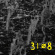 31Ï8 - 31Ï8 (Ylw) 31Ï8 - 31Ï8 (Ylw)