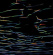 Porter Ricks - Biokinetics Porter Ricks - Biokinetics