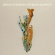 Becca Stevens - Becca Stevens / Attacca Quartet Becca Stevens - Becca Stevens / Attacca Quartet