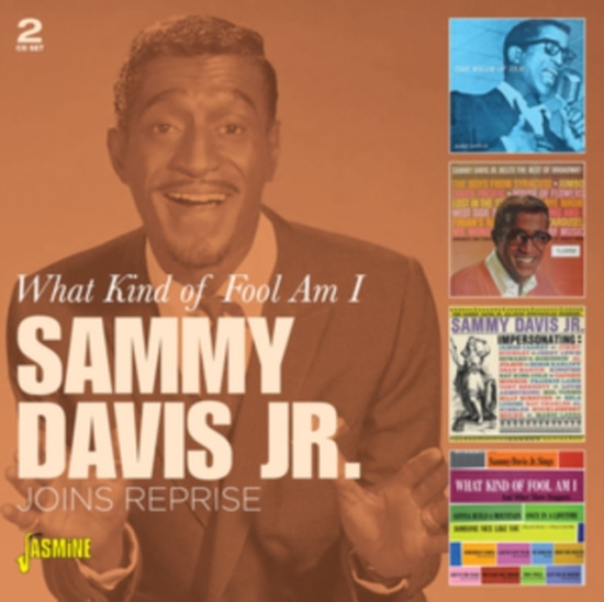 Davis Jr Sammy - What Kind Of Fool Am I