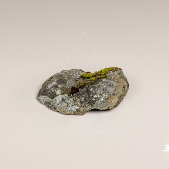 Fergus Mccreadie - Cairn