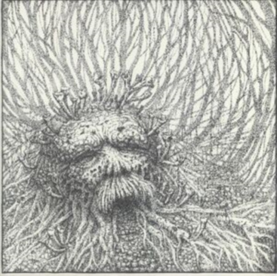 Nemorous - Nemorous (Vinyl Lp + Cd)