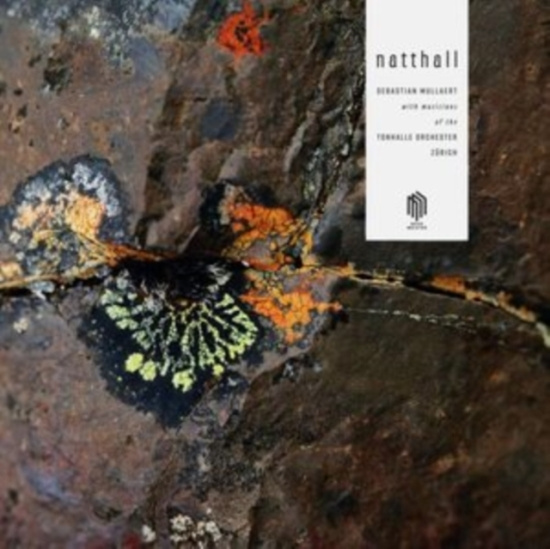 Mullaert Sebastian - Natthall (2Lp)