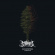 Botanist - Ecosystem Version B (Coloured) Botanist - Ecosystem Version B (Coloured)