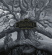 Mastodon - Hushed And Grim Mastodon - Hushed And Grim