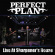 Perfect Plan - Live At Sharpener's House Perfect Plan - Live At Sharpener's House