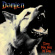 Damien - Every Dog Has Its Day Damien - Every Dog Has Its Day
