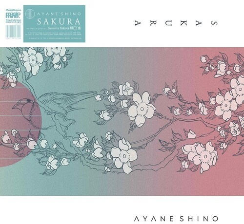 Shino Ayane - Sakura