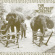Thai Elephant Orchestra - Thai Elephant Orchestra (Lp+7 Thai Elephant Orchestra - Thai Elephant Orchestra (Lp+7