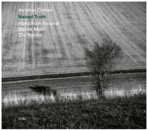 Avishai Cohen Quartet: Yonathan Avi - Naked Truth (Lp)