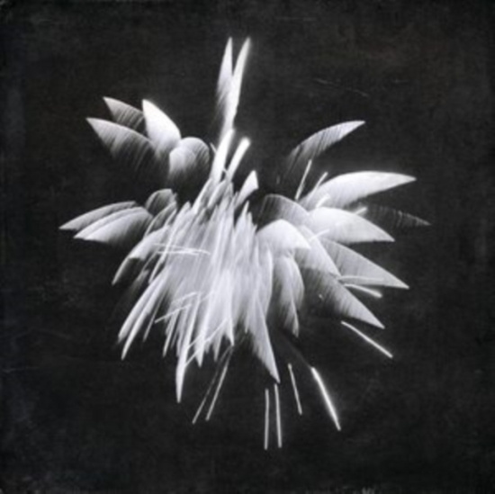 Windler Brent - New Morning Howl