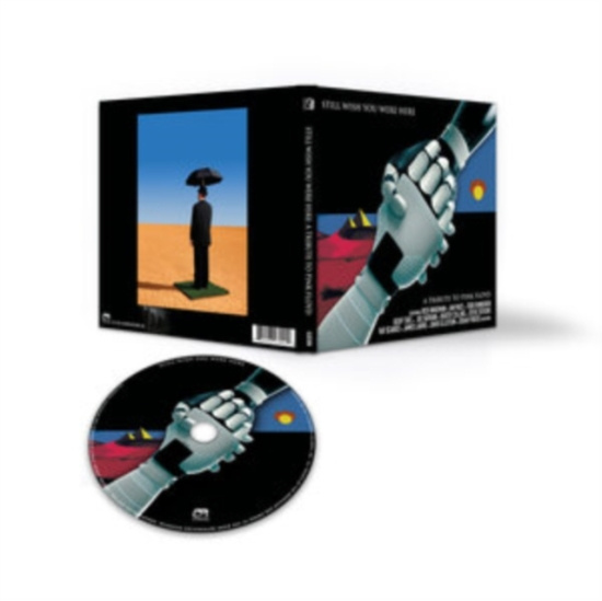 Blandade Artister - Still Wish You Were Here - A Tribut