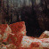 VOID PARADIGM - ULTIME PULSATION | DEMAIN BRULE VOID PARADIGM - ULTIME PULSATION | DEMAIN BRULE