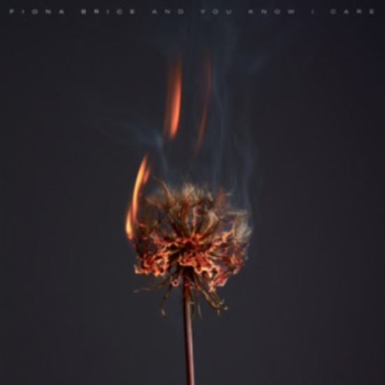 Brice Fiona - And You Know I Care