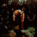 Cavetown - Worm Food Cavetown - Worm Food