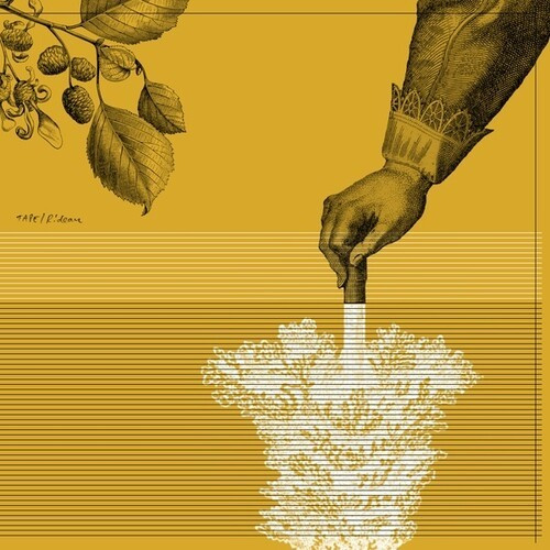 Tape - Rideau (Remastered)